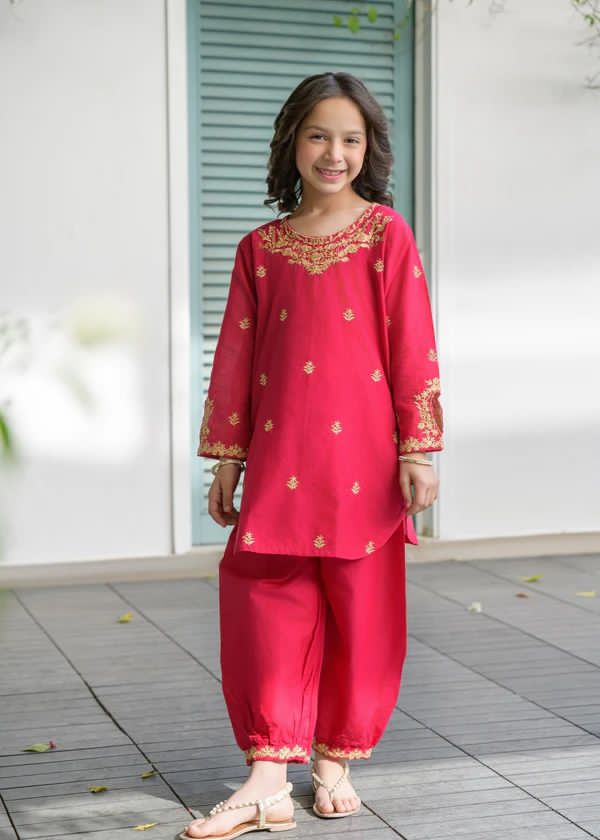 Pakistani Tunic Set (PKT003)